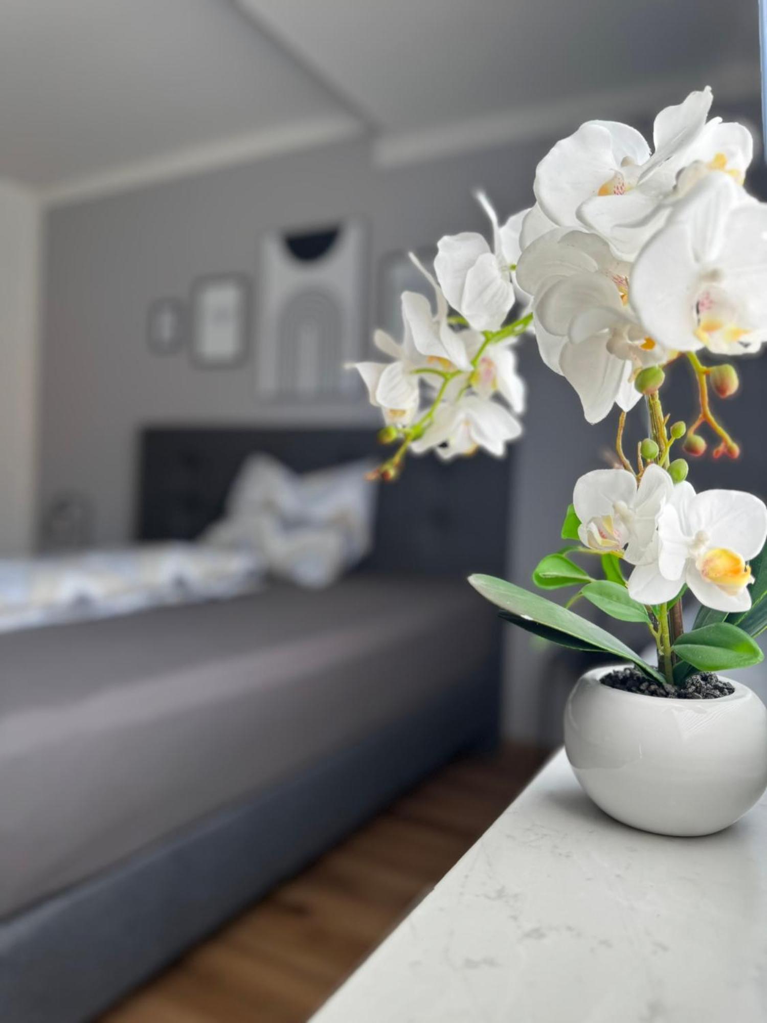 Ferienhaus Hunsrueckliebe Liederbach  Εξωτερικό φωτογραφία