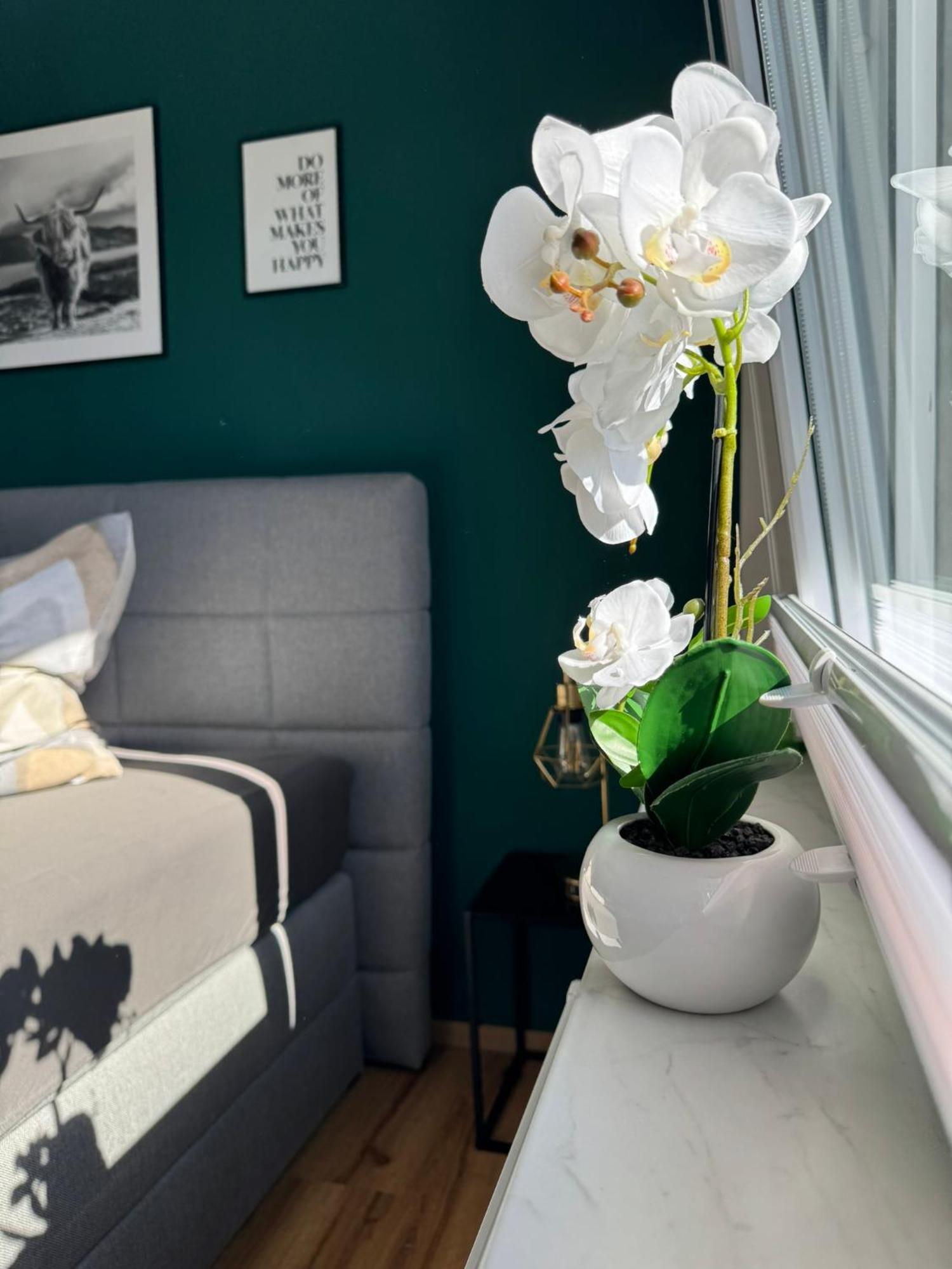 Ferienhaus Hunsrueckliebe Liederbach  Εξωτερικό φωτογραφία